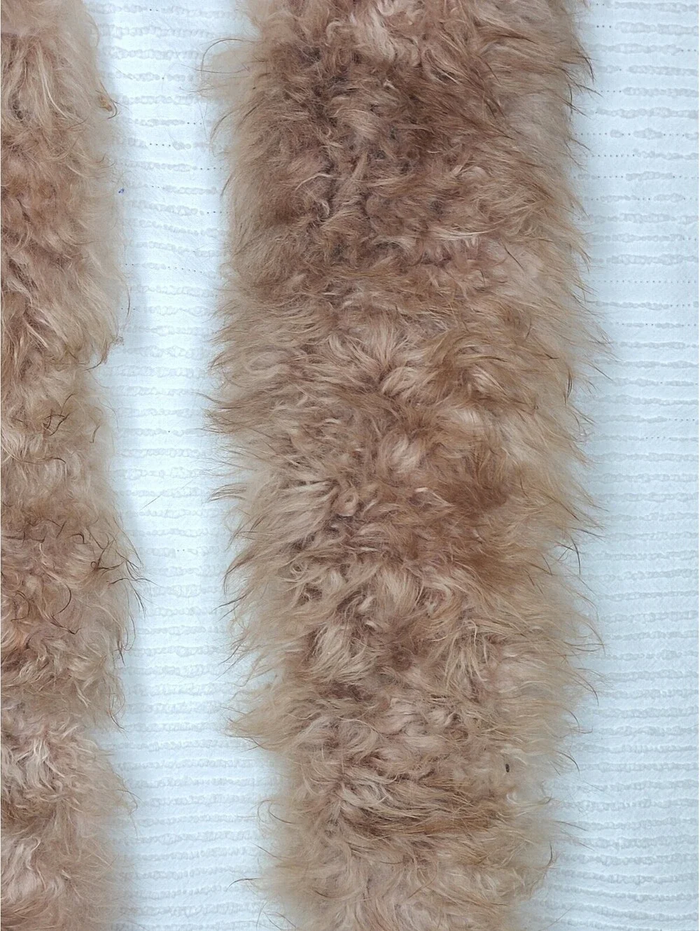 Vtg 40s Sable Mink Fur Sew On Collar Fluffy Taupe Tan Two Whole Pelts Genuine